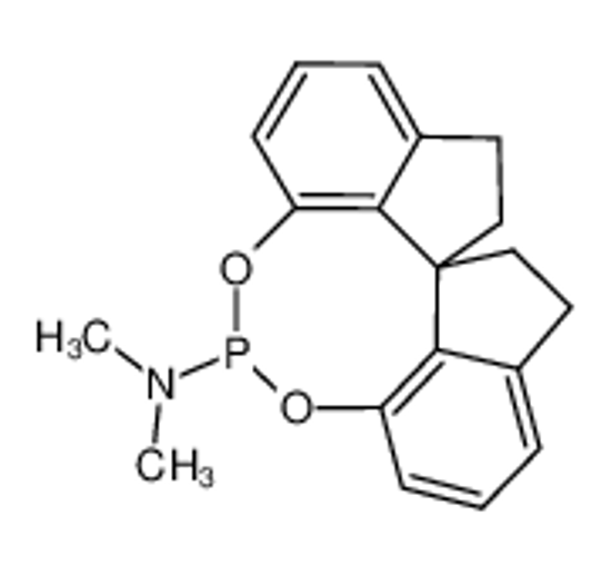 Изображение (11AR)-(+)-10,11,12,13-TETRAHYDRODIINDENO[7,1-DE:1',7'-FG][1,3,2]DIOXAPHOSPHOCIN-5-DIMETHYLAMINE