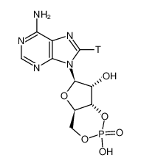 Imagem de ADENOSINE-8(3)H3',5'-CYCLIC MONOPHOSPHATE