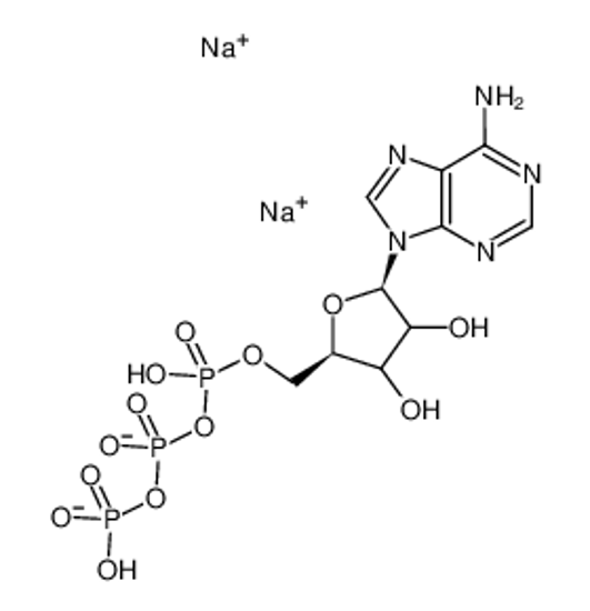 Picture of Adenosine Disodium Triphosphate?