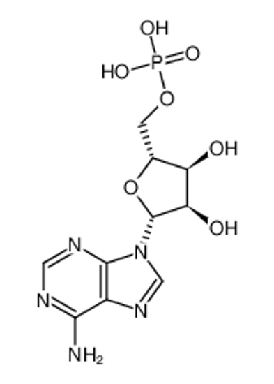 Picture of ADENYLIC ACID