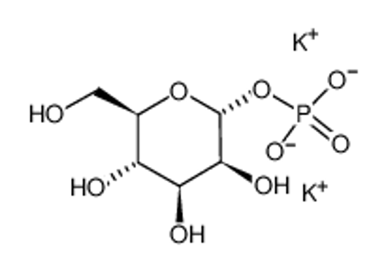 Picture of α-D-MANNOSE-1-PHOSPHATE DIPOTASSIUM SALT DIHYDRATE