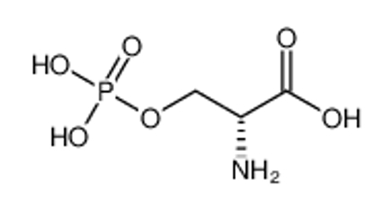 Picture of (2R)-2-amino-3-phosphonooxypropanoic acid