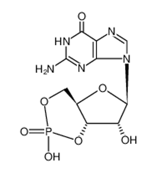 Picture of 3',5'-cyclic GMP