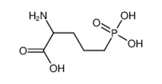 Picture of DL-2-AMINO-5-PHOSPHONOPENTANOIC ACID