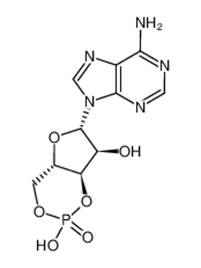 Picture of CYCLIC AMP