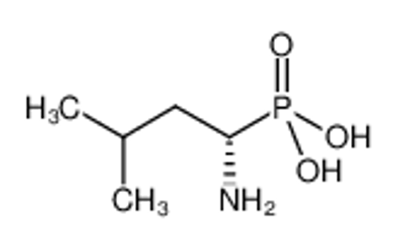 Picture of [(1S)-1-amino-3-methylbutyl]phosphonic acid