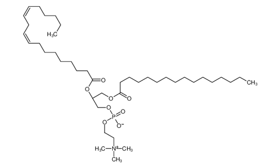 Picture of (2R)-2-[(9E,12E)-9,12-Octadecadienoyloxy]-3-(palmitoyloxy)propyl 2-(trimethylammonio)ethyl phosphate