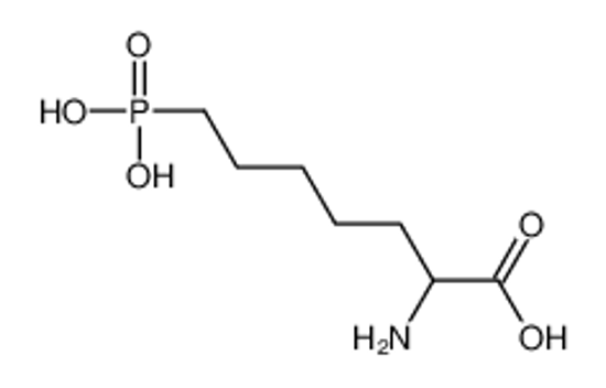 Picture of 2-Amino-7-phosphonoheptanoic acid