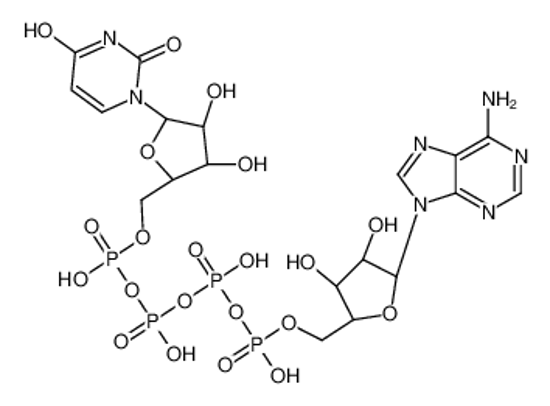 Изображение [[(2R,3S,4R,5R)-5-(6-aminopurin-9-yl)-3,4-dihydroxy-tetrahydrofur an-2-yl]methoxy-hydroxy-phosphoryl] [[[(2R,3S,4R,5R)-5-(2,4-dioxo pyrimidin-1-yl)-3,4-dihydroxy-tetrahydrofuran-2-yl]methoxy-hydrox y-phosphoryl]oxy-hydroxy-phosphoryl] hy