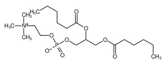 Picture of 2,3-Bis(hexanoyloxy)propyl 2-(trimethylammonio)ethyl phosphate