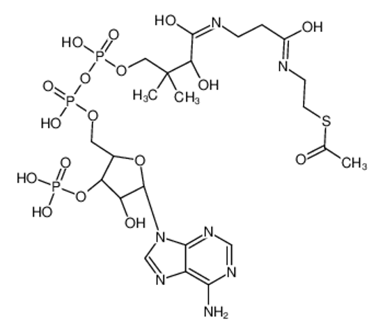Picture of acetyl-CoA