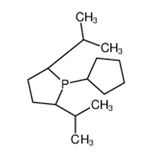 Picture of (2R,5R)-1-cyclopenta-2,4-dien-1-yl-2,5-di(propan-2-yl)phospholane,iron(2+)