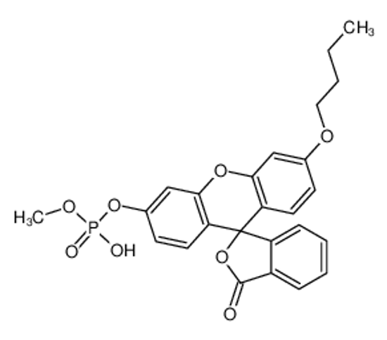 Picture of (6'-butoxy-3-oxospiro[2-benzofuran-1,9'-xanthene]-3'-yl) methyl hydrogen phosphate