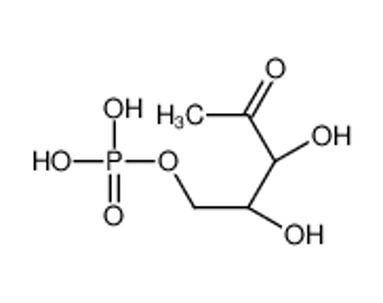 Picture of 1-Deoxy-D-xylulose-5-phosphate sodium salt