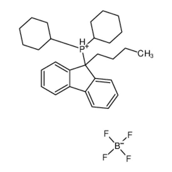 Picture of (9-butylfluoren-9-yl)-dicyclohexylphosphanium,tetrafluoroborate