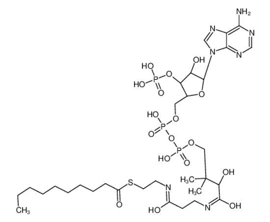 Picture of decanoyl-CoA