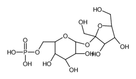 Picture of [(2R,3S,4S,5R,6R)-6-[(2S,3S,4S,5R)-3,4-dihydroxy-2,5-bis(hydroxymethyl)oxolan-2-yl]oxy-3,4,5-trihydroxyoxan-2-yl]methyl dihydrogen phosphate