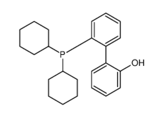 Изображение 2-(2-dicyclohexylphosphanylphenyl)phenol
