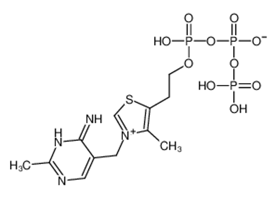 Picture of Thiazolium, 3-[(4-amino-2-methyl-5-pyrimidinyl)methyl]-5-[2-[[hyd roxy[[hydroxy(phosphonooxy)phosphinyl]oxy]phosphinyl]oxy]ethyl]-4 -methyl-, inner salt