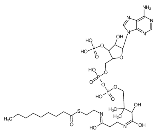 Picture of nonanoyl-CoA
