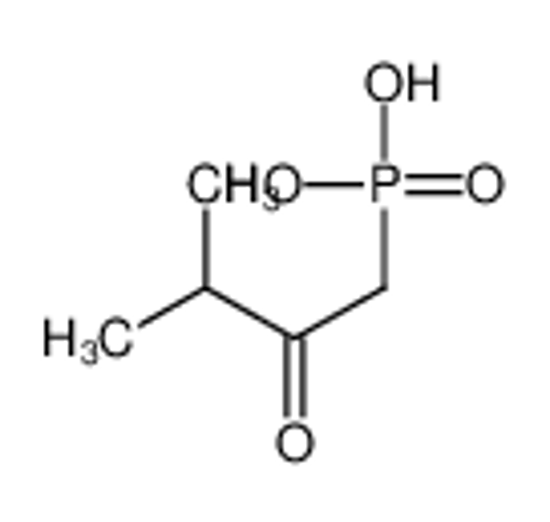 Picture of (3-methyl-2-oxobutyl)phosphonic acid