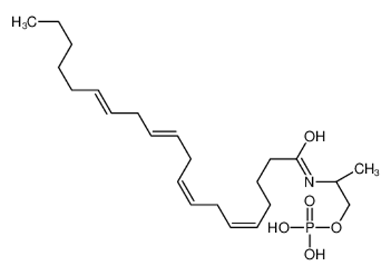 Imagem de (2R)-2-[(5Z,8Z,11Z,14Z)-5,8,11,14-Icosatetraenoylamino]propyl dih ydrogen phosphate