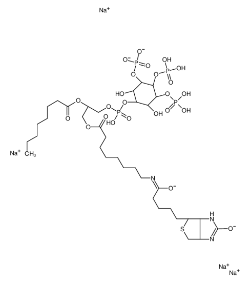 Picture of sodiumN-(8-(3-((((2,6-dihydroxy-3-(phosphonatooxy)-4,5-bis(phosphonooxy)cyclohexyl)oxy)(hydroxy)phosphoryl)oxy)-2-(octanoyloxy)propoxy)-8-oxooctyl)-5-(2-oxido-3a,4,6,6a-tetrahydro-1H-thieno[3,4-d]imidazol-6-yl)pentanimidate