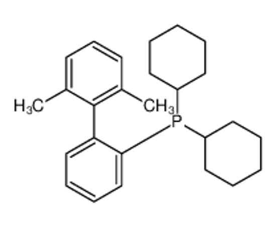 Picture of Dicyclohexyl(2',6'-dimethyl-2-biphenylyl)phosphine