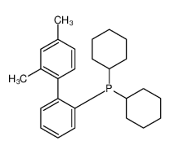 Picture of Dicyclohexyl(2',4'-dimethyl-2-biphenylyl)phosphine