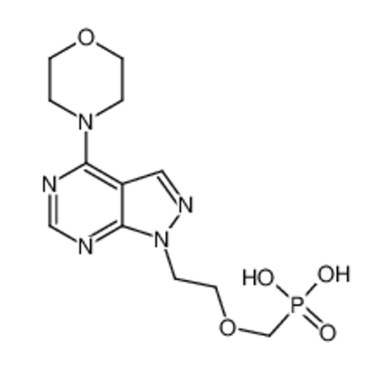 Picture of 2-(4-morpholin-4-ylpyrazolo[3,4-d]pyrimidin-1-yl)ethoxymethylphosphonic acid