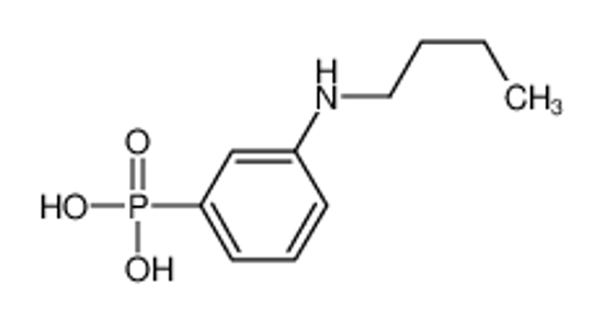 Imagem de [3-(Butylamino)phenyl]phosphonic acid
