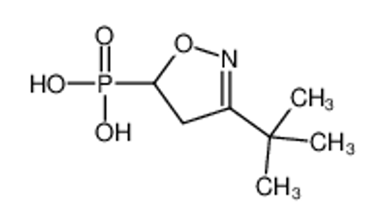 Picture of (3-tert-butyl-4,5-dihydro-1,2-oxazol-5-yl)phosphonic acid