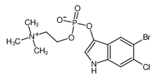 Изображение (5-bromo-6-chloro-1H-indol-3-yl) 2-(trimethylazaniumyl)ethyl phosphate