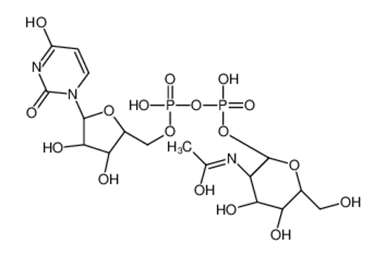 Picture of UDP-N-acetyl-α-D-mannosamine