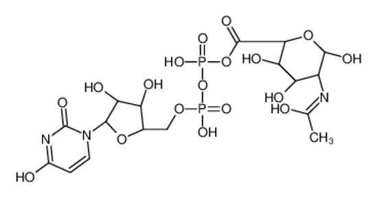 Picture of 12-O-Decanoylphorbol-13-(2-methylbutyrate)
