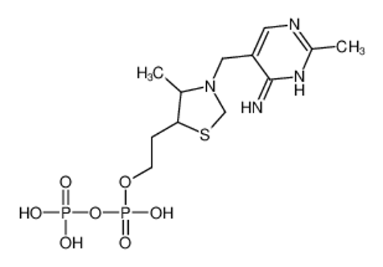 Picture of 2-[3-[(4-amino-2-methylpyrimidin-5-yl)methyl]-4-methyl-1,3-thiazolidin-5-yl]ethyl phosphono hydrogen phosphate