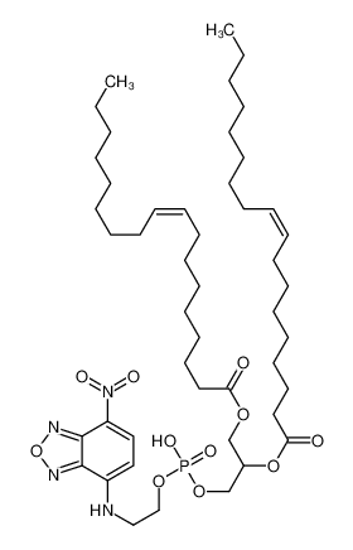 Picture of [3-[hydroxy-[2-[(4-nitro-2,1,3-benzoxadiazol-7-yl)amino]ethoxy]phosphoryl]oxy-2-[(E)-octadec-9-enoyl]oxypropyl] (E)-octadec-9-enoate