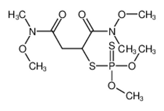 Picture of 2-dimethoxyphosphinothioylsulfanyl-N,N'-dimethoxy-N,N'-dimethylbutanediamide