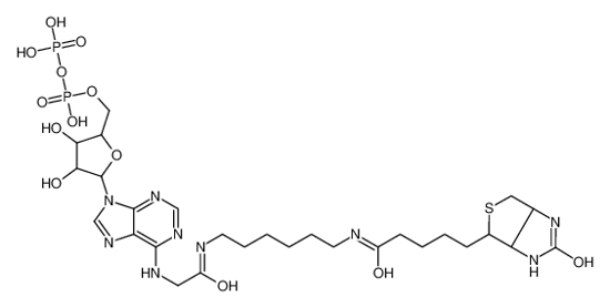 Picture of [3,4-dihydroxy-5-[6-[[2-oxo-2-[6-[5-(2-oxo-1,3,3a,4,6,6a-hexahydrothieno[3,4-d]imidazol-4-yl)pentanoylamino]hexylamino]ethyl]amino]purin-9-yl]oxolan-2-yl]methyl phosphono hydrogen phosphate