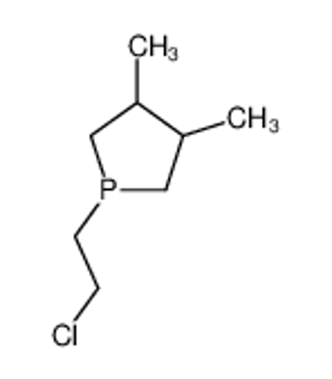 Picture of 1-(2-chloroethyl)-3,4-dimethylphospholane