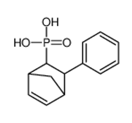 Picture of (2-phenyl-3-bicyclo[2.2.1]hept-5-enyl)phosphonic acid