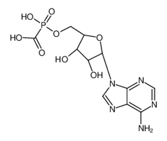 Picture of [[(2R,3S,4R,5R)-5-(6-aminopurin-9-yl)-3,4-dihydroxyoxolan-2-yl]methoxy-hydroxyphosphoryl]formic acid