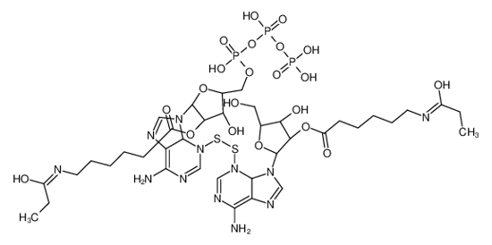 Picture of [(2S,3R,4R,5R)-2-[6-amino-3-[[6-amino-9-[(2S,3R,4R,5R)-4-hydroxy-5-[[hydroxy-[hydroxy(phosphonooxy)phosphoryl]oxyphosphoryl]oxymethyl]-3-[6-(propanoylamino)hexanoyloxy]oxolan-2-yl]-4H-purin-3-yl]disulfanyl]-4H-purin-9-yl]-4-hydroxy-5-(hydroxymethyl)oxolan