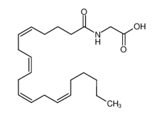 Picture of N-Arachidonylglycine,N-(1-oxo-5Z,8Z,11Z,14Z-eicosatetraenyl)glycine