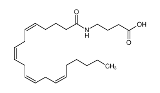 Picture of 4-(icosa-5,8,11,14-tetraenoylamino)butanoic acid