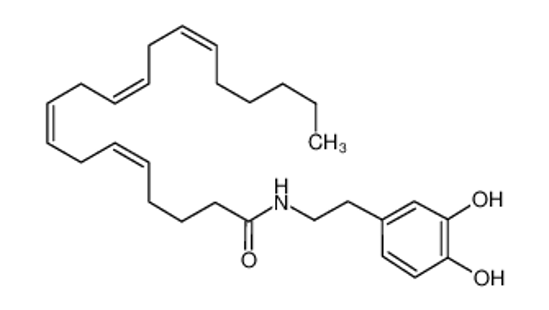 Picture of (5Z,8Z,11Z,14Z)-N-[2-(3,4-dihydroxyphenyl)ethyl]icosa-5,8,11,14-tetraenamide