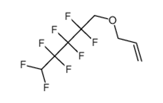 Изображение Allyl 2,2,3,3,4,4,5,5-octafluoropentyl ether