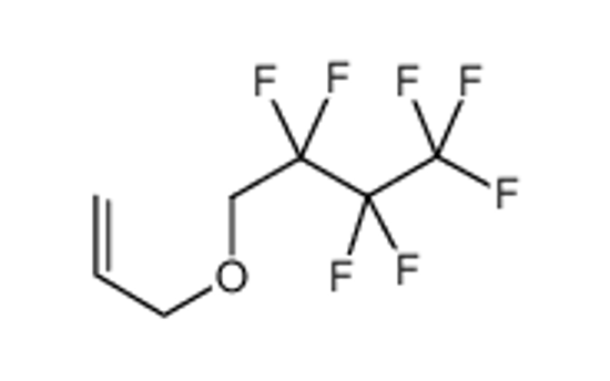 Изображение Allyl 1H,1H-heptafluorobutyl ether