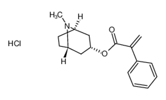 Picture of (8-methyl-8-azabicyclo[3.2.1]octan-3-yl) 2-phenylprop-2-enoate,hydrochloride