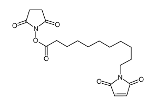Picture of 11-Maleimidoundecanoic Acid N-Succinimidyl Ester